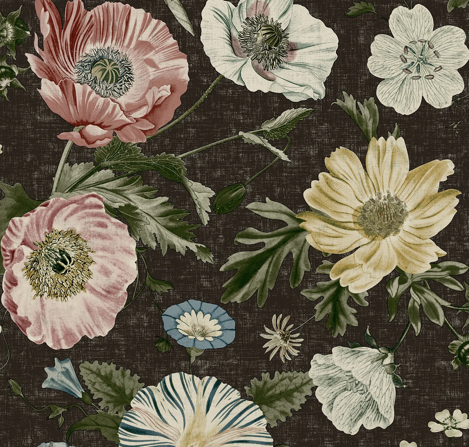 main sample image of Black Vintage Poppy