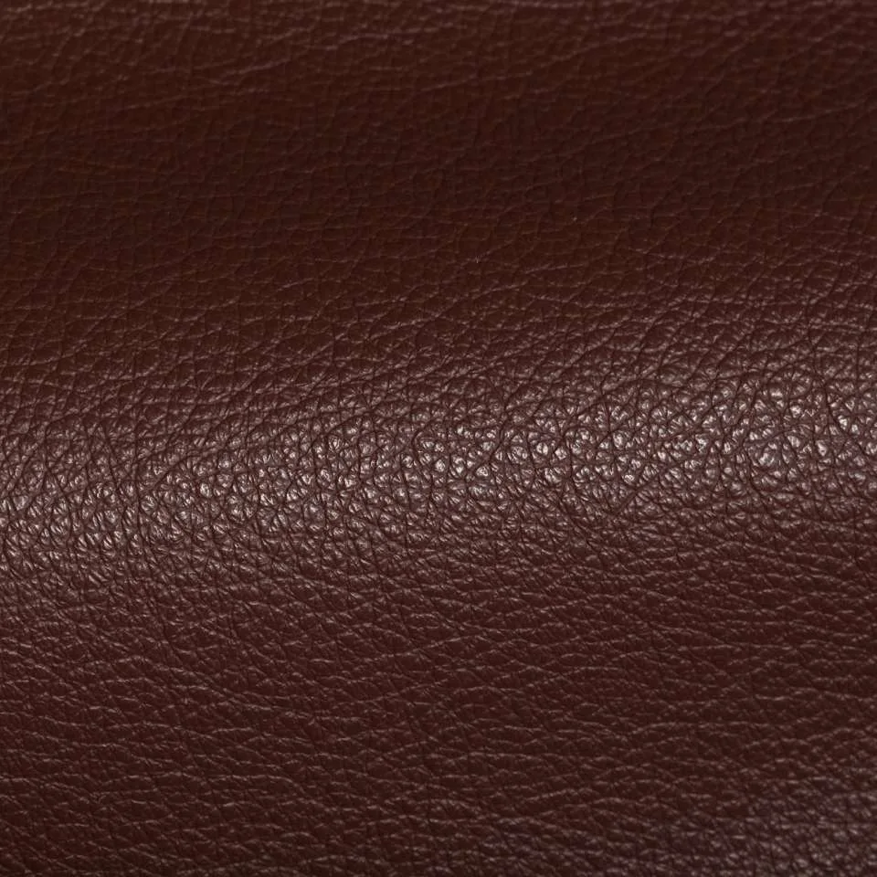 main sample image of Sienna Holland