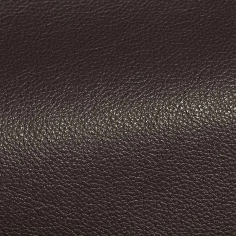 main sample image of Carbon Holland