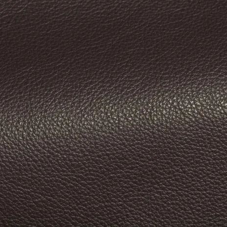 main sample image of Carbon Holland