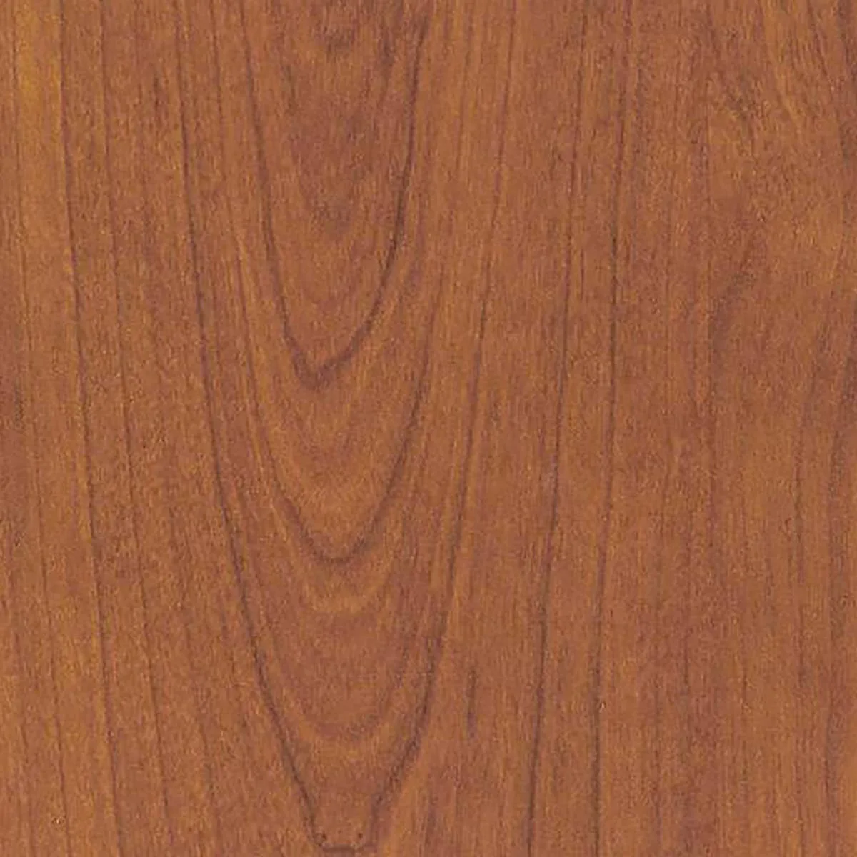 main sample image of Brown Blossom Cherrywood