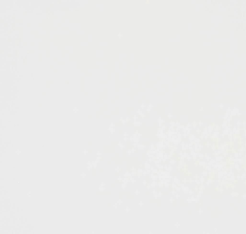 main sample image of White Whitehall