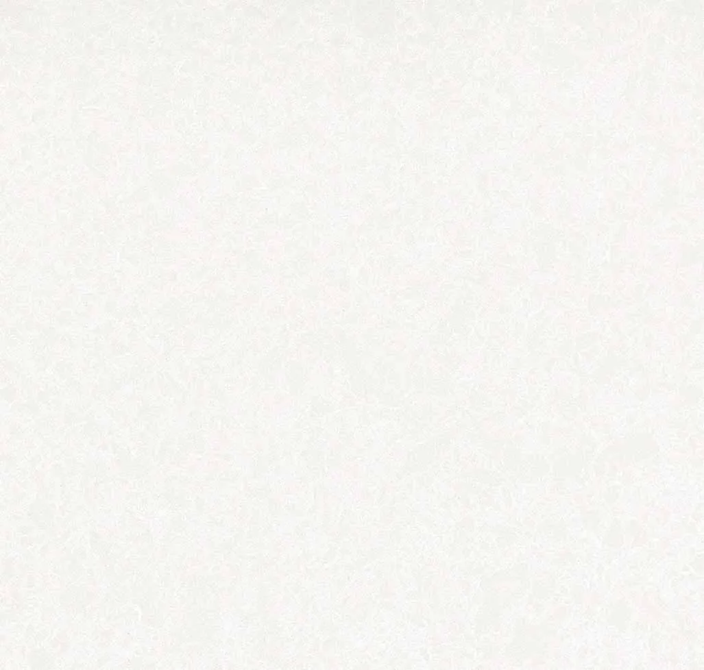 main sample image of White Newport