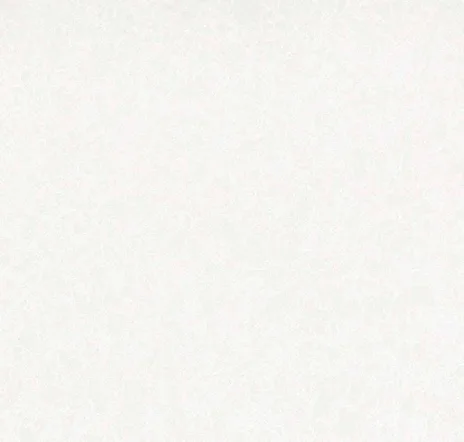 main sample image of White Newport