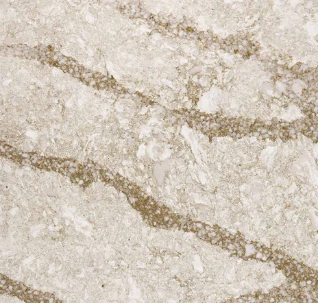 main sample image of Beige Beaumont