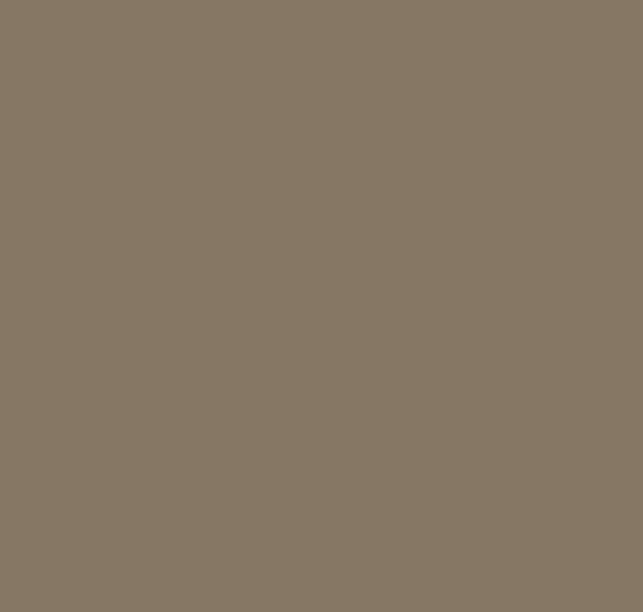 Rustic Taupe 999 | DesignShop