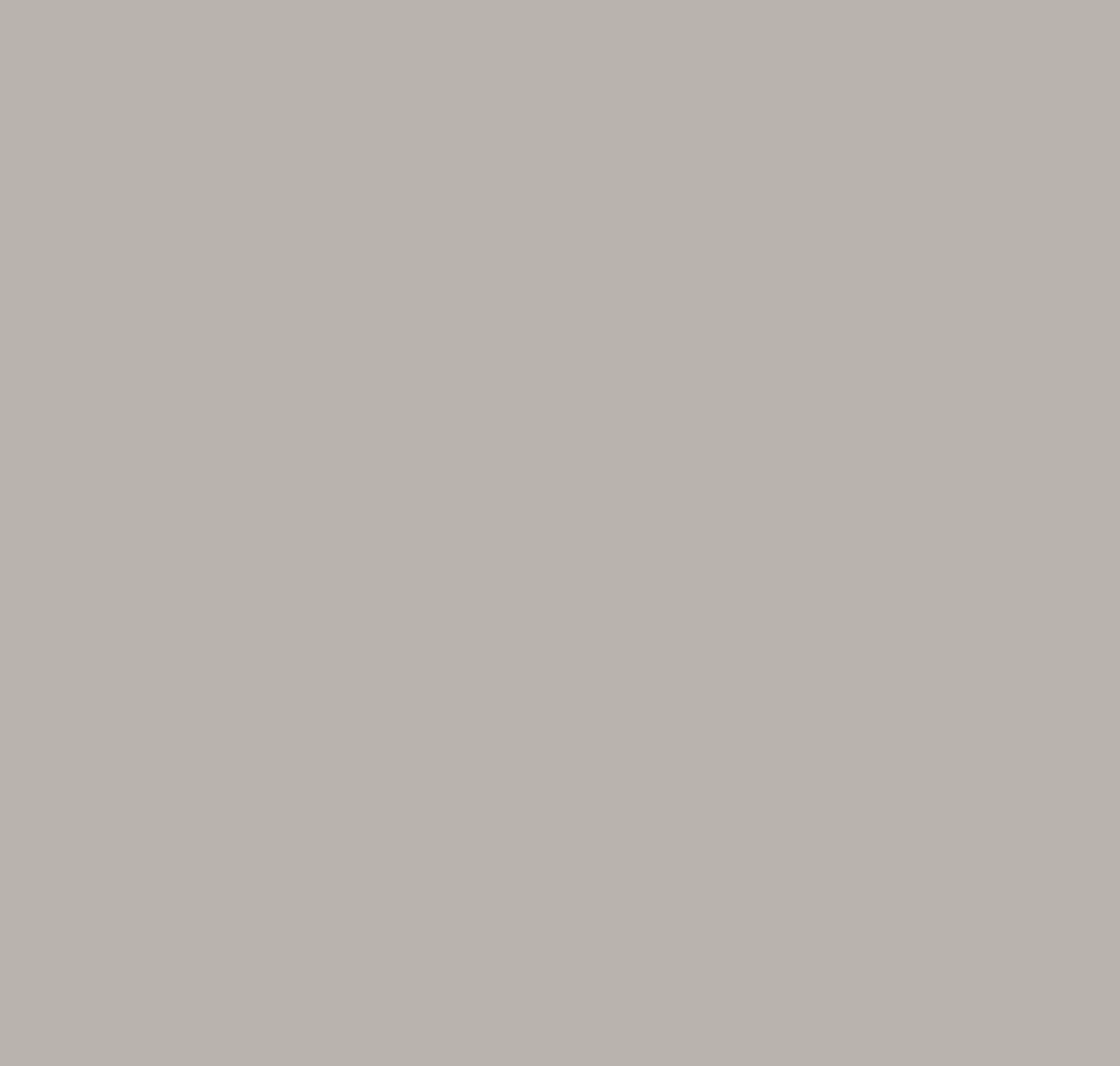 Gray Huskie: 1473