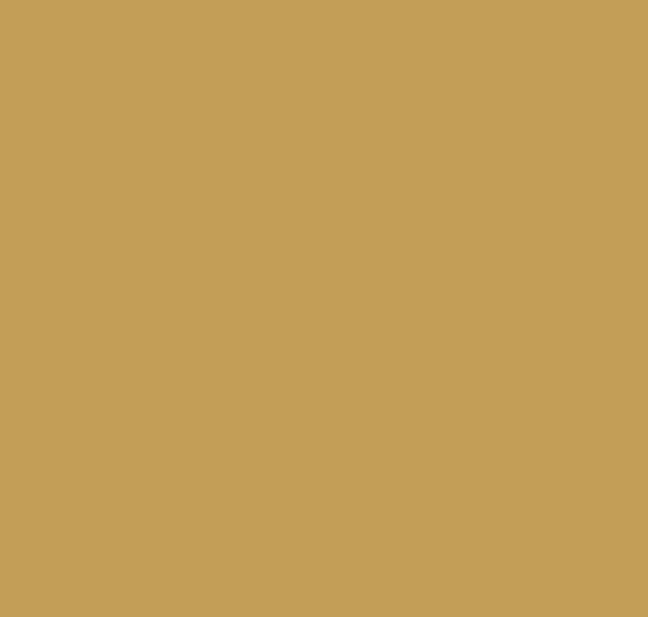 Leap of Faith 210 | DesignShop