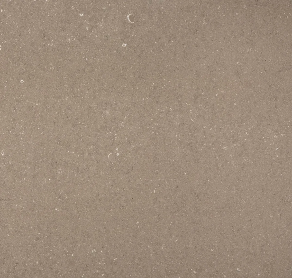 Silestone Coral Clay