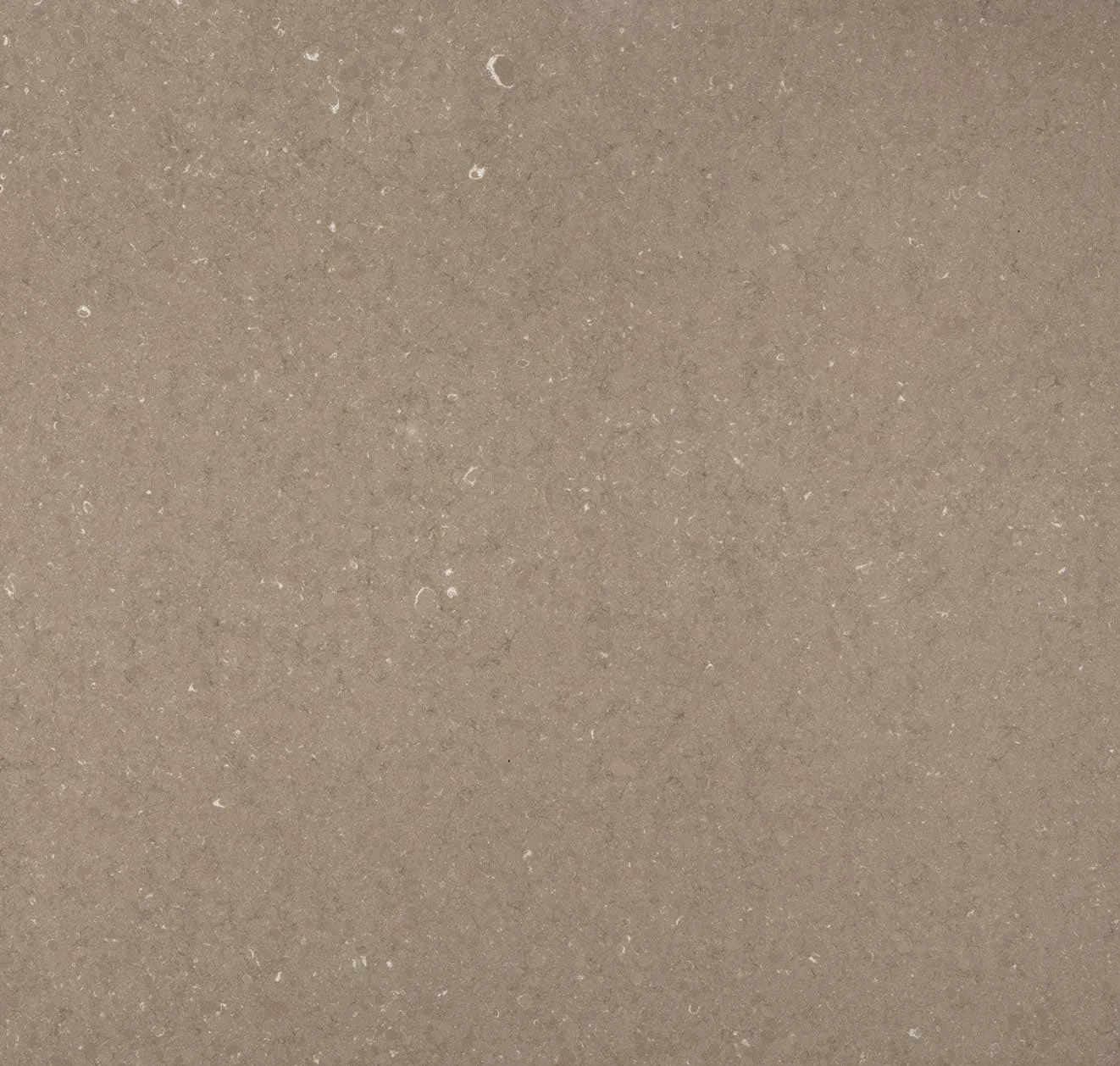 main sample image of Taupe Silestone Coral Clay