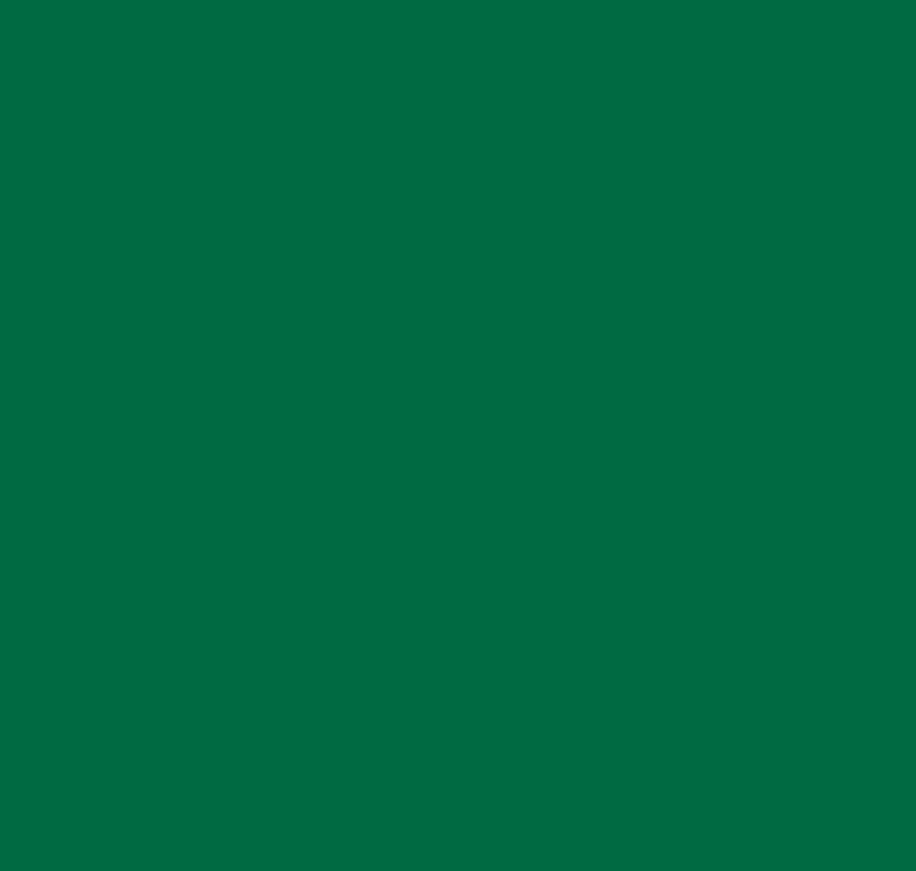 JEWEL TONE ジョエルトーン 100175203.jpg