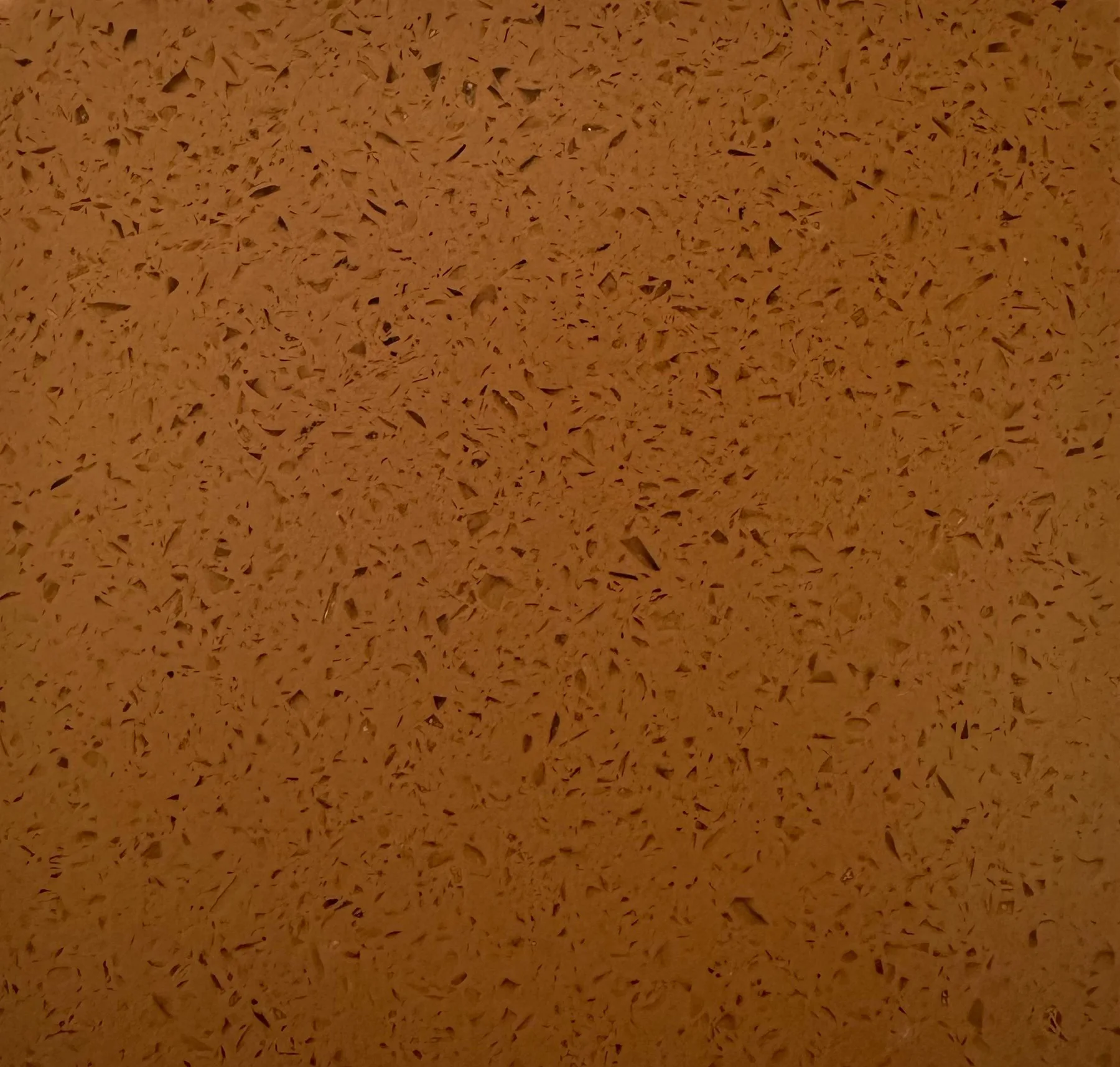 main sample image of Brown L115-0 - Dark Brown w/ clear