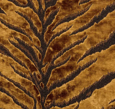 main sample image of Gold Bengal Tiger