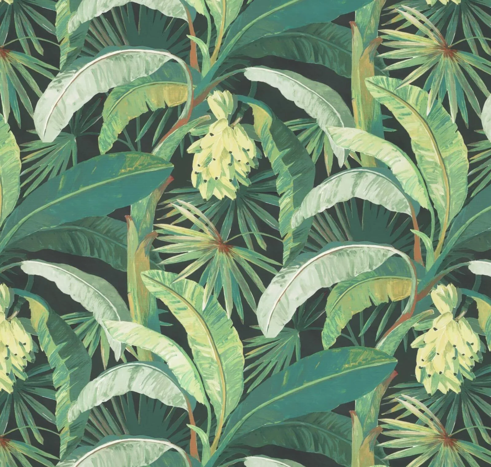 main sample image of Midnight Tropicalia