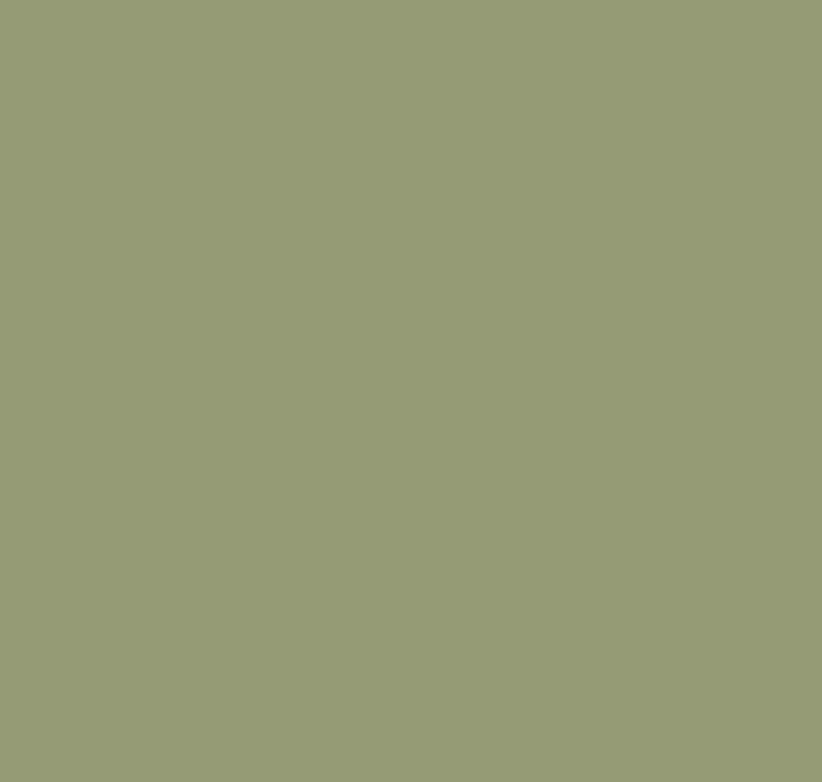 Misted Fern: CC-668