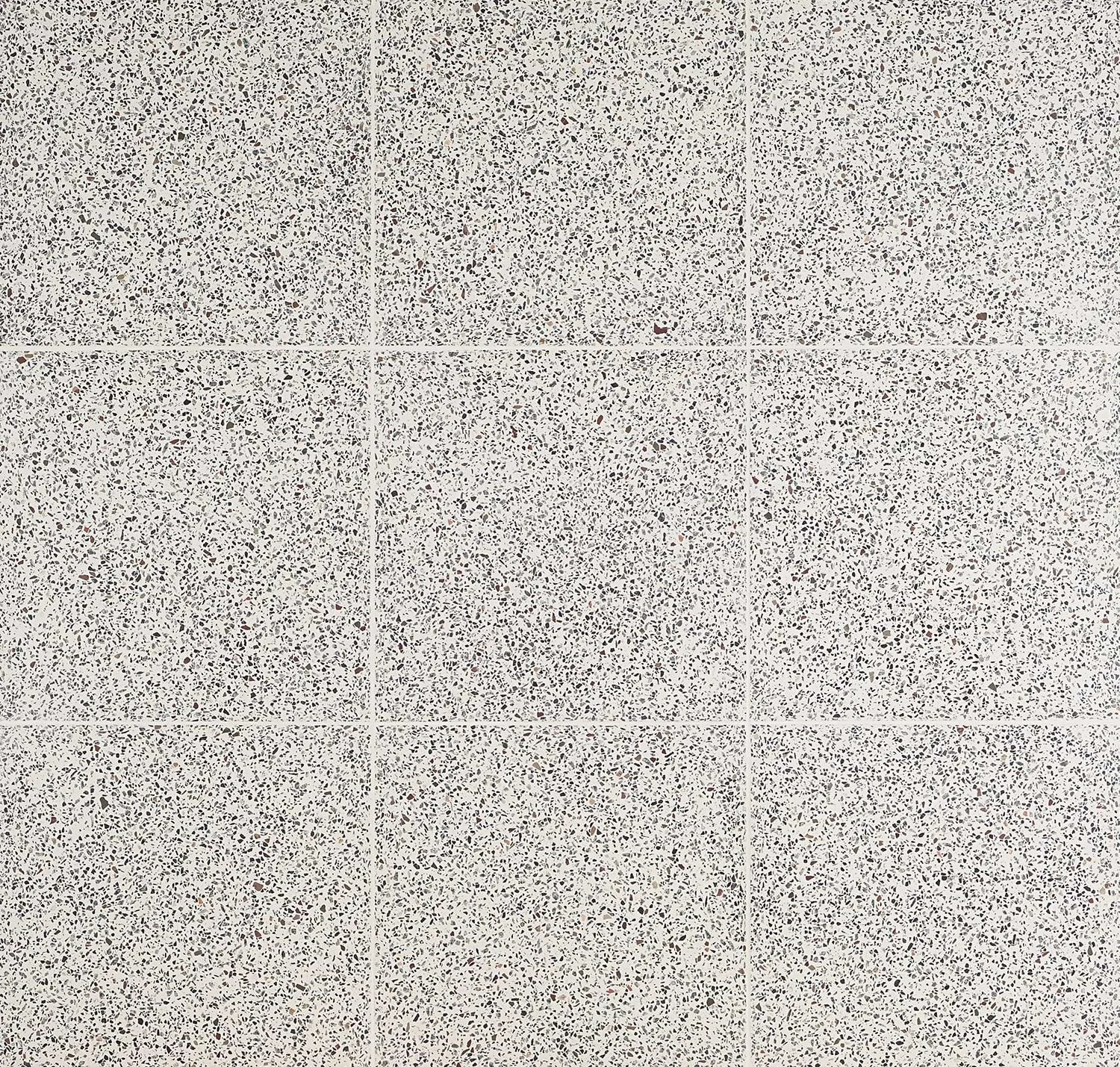 main sample image of Medous True Terrazzo