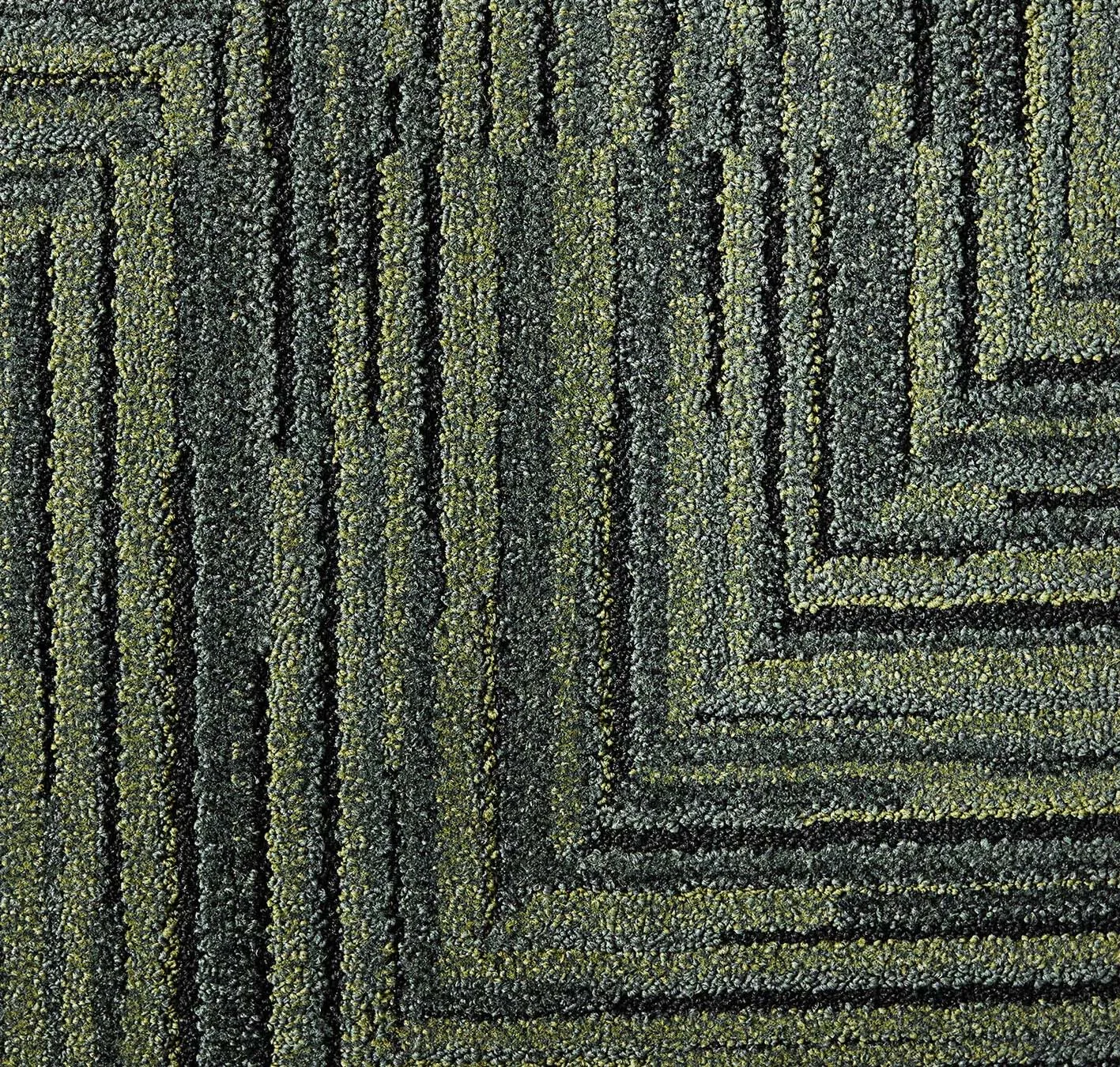 main sample image of Kale Boardwalk