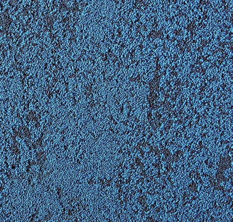 main sample image of Caribbean Down to Earth