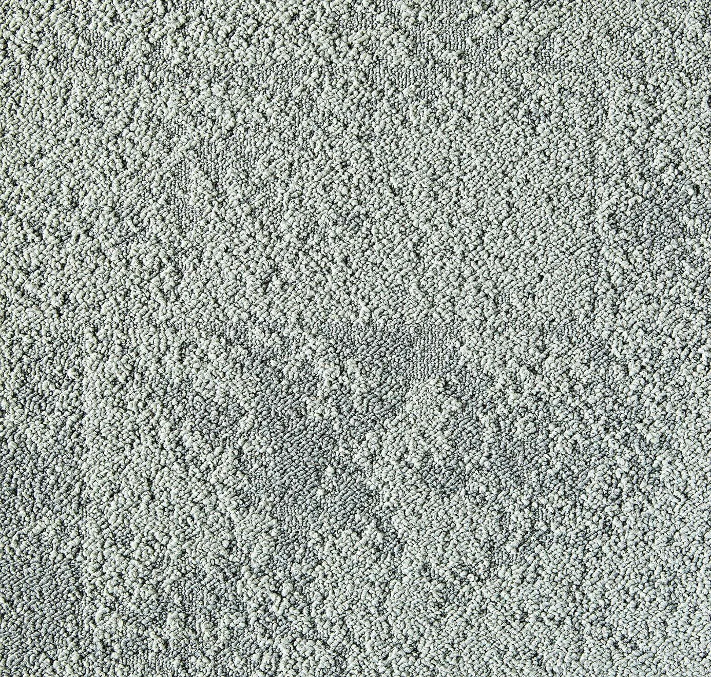 main sample image of Lichen Down to Earth