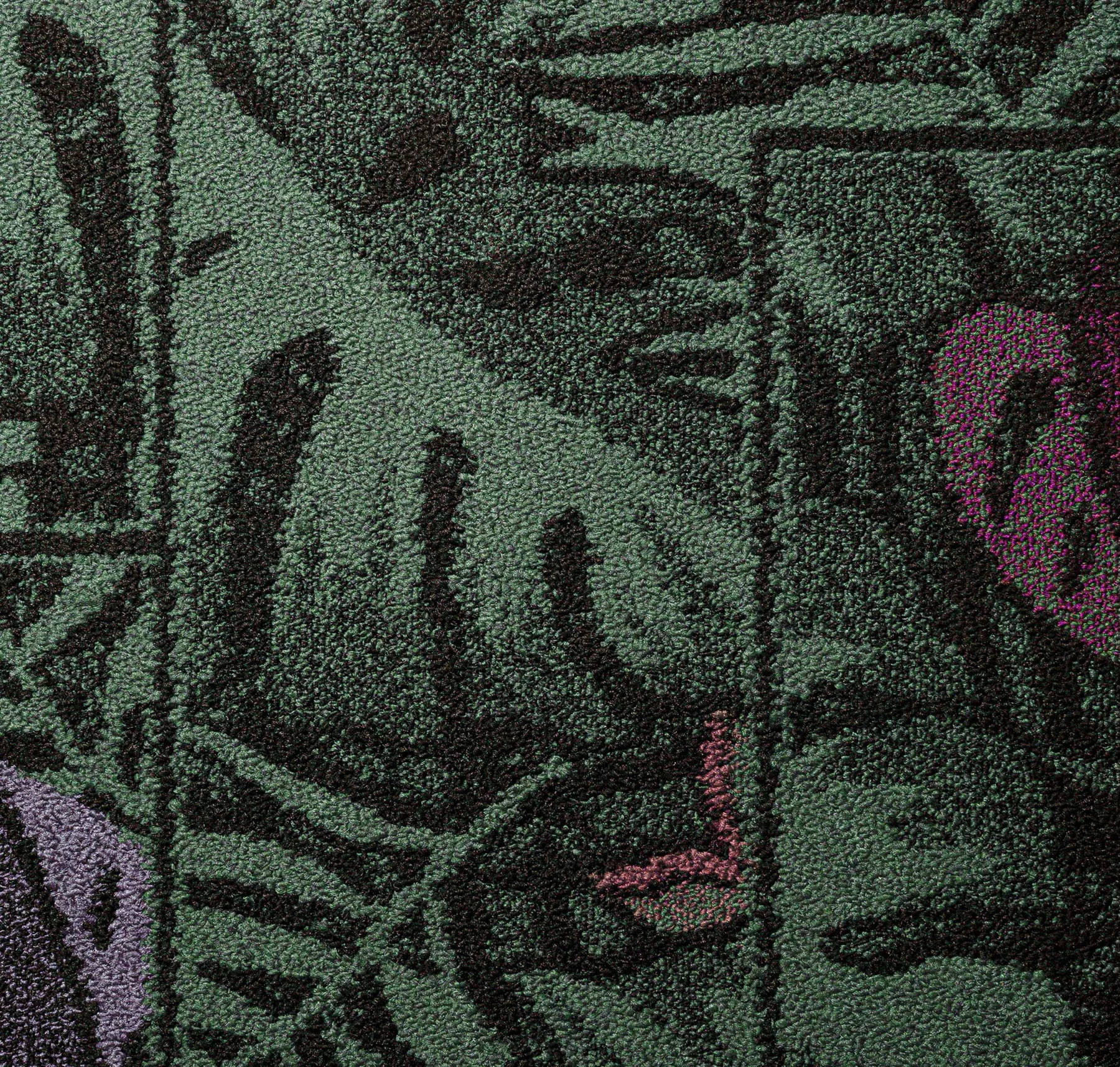 main sample image of Kale Frond Of You