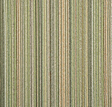 main sample image of Spruce Line, Please