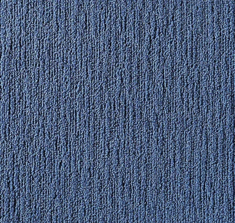 main sample image of Ocean Made You Look