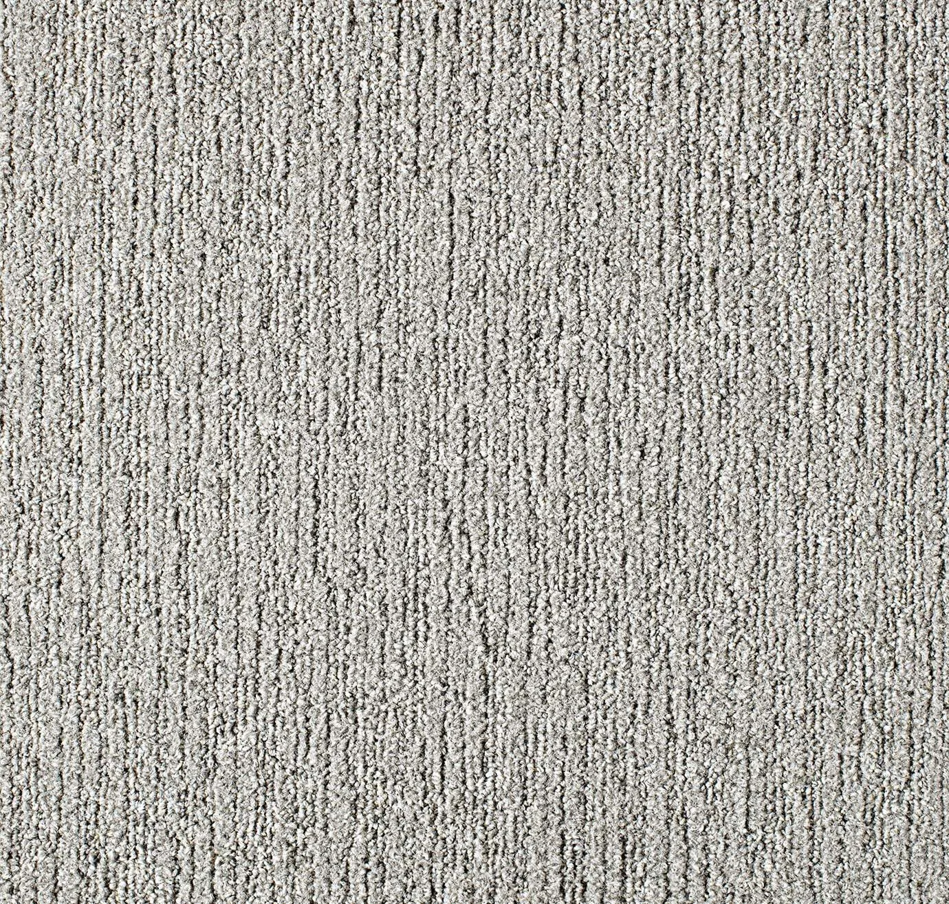 main sample image of Pigeon Made You Look