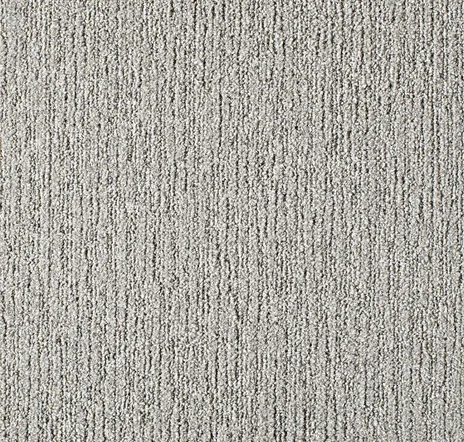 main sample image of Pigeon Made You Look