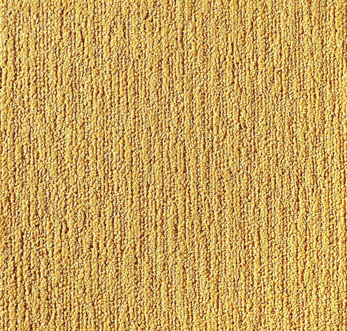main sample image of Marigold Made You Look