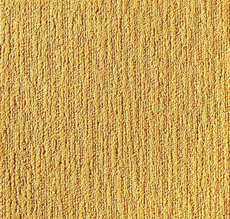 main sample image of Marigold Made You Look