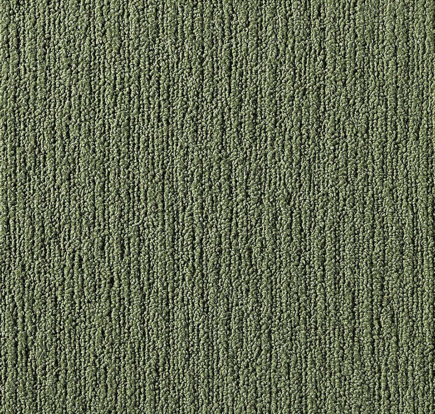 main sample image of Forest Made You Look