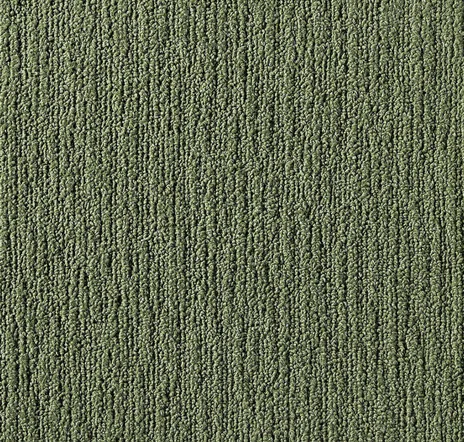 main sample image of Forest Made You Look