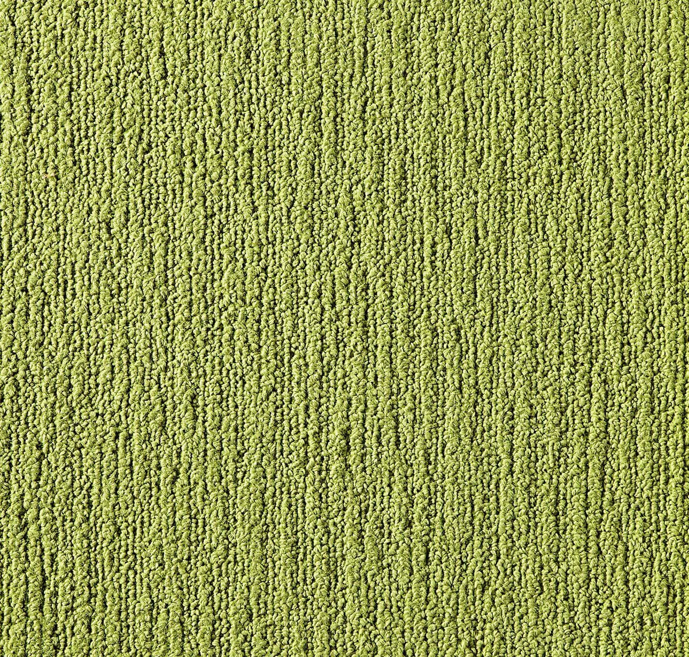 main sample image of Kiwi Made You Look