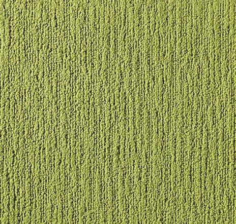 main sample image of Kiwi Made You Look