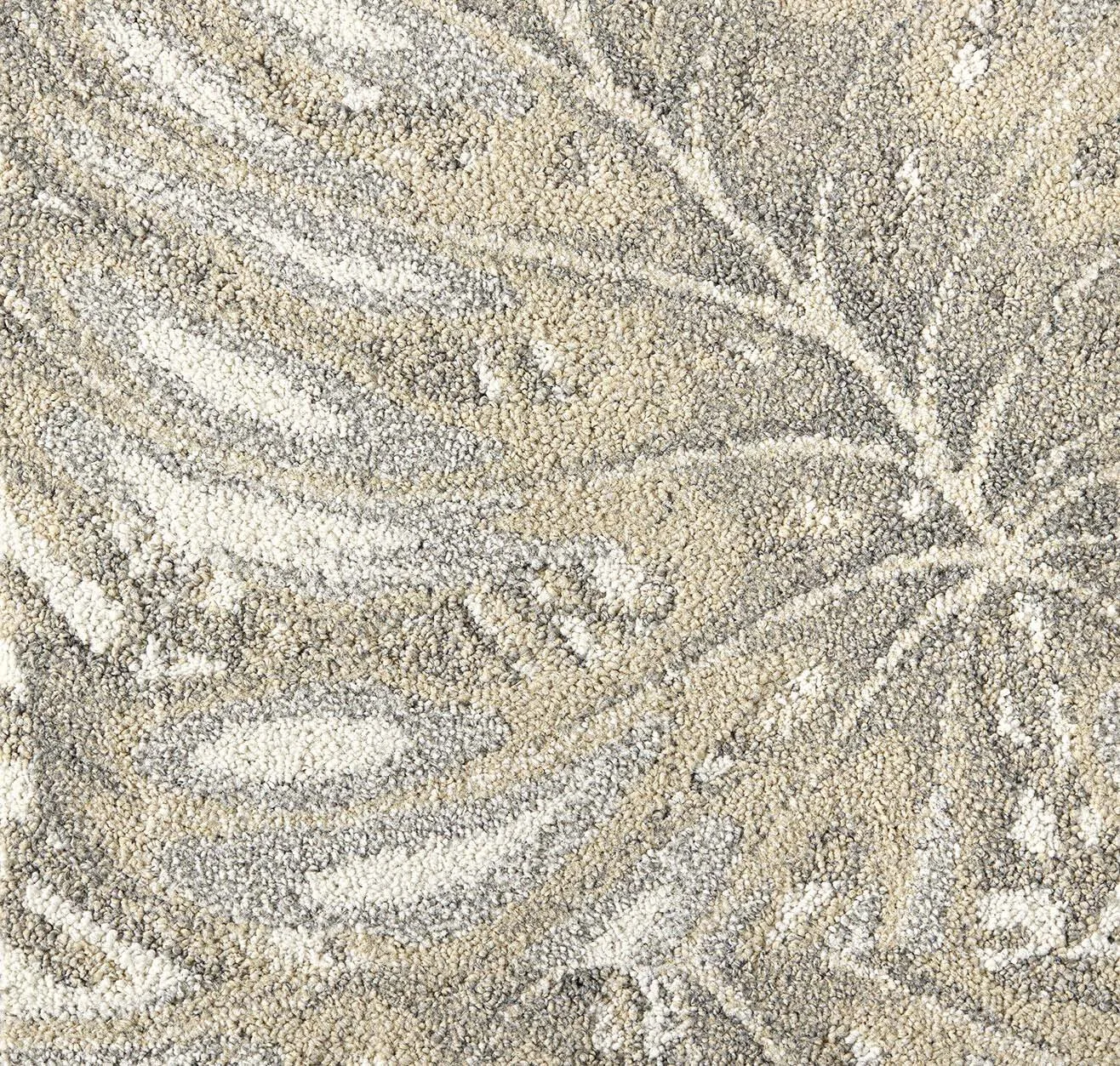 main sample image of Tundra Palm Reader