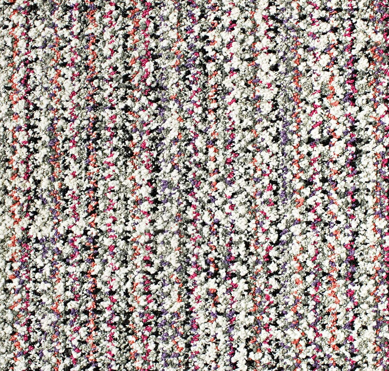 main sample image of Coral Tailored Touch