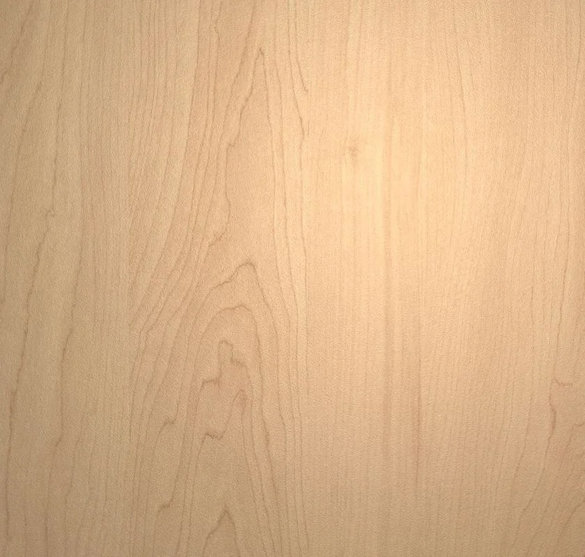 Kensington Maple