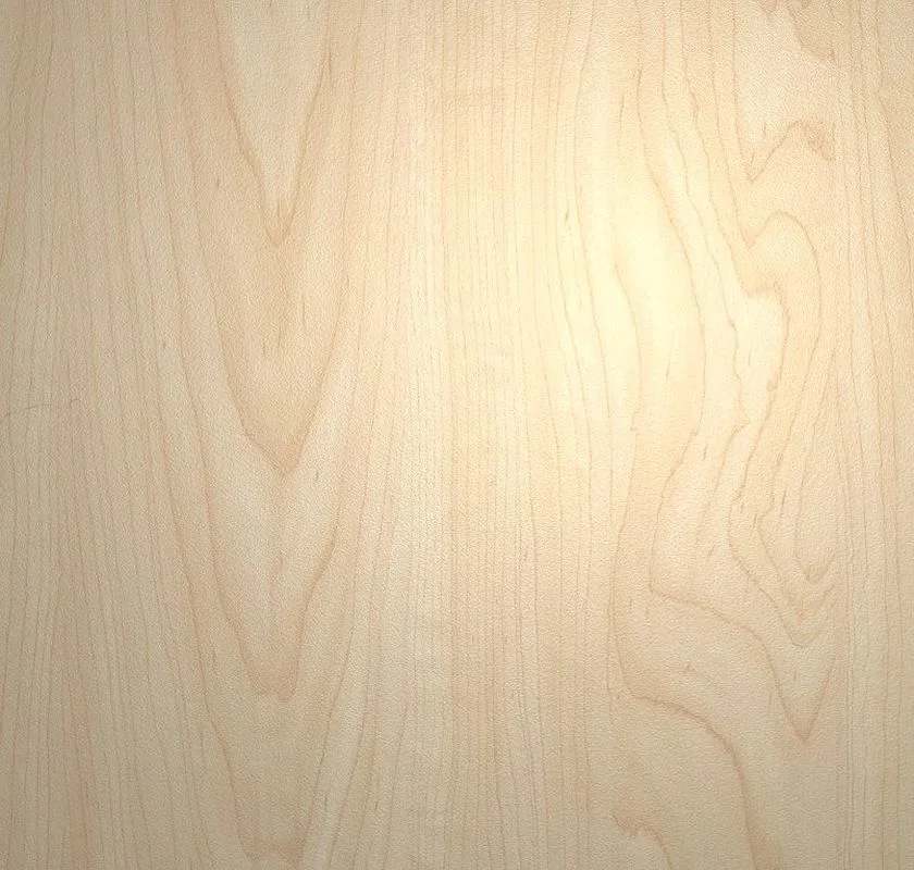 main sample image of Brown Manitoba Maple