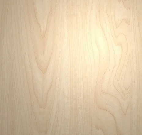 main sample image of Brown Manitoba Maple