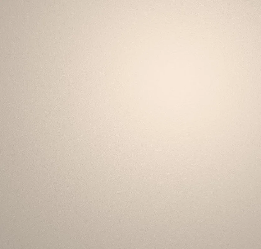 main sample image of Beige Wallaby