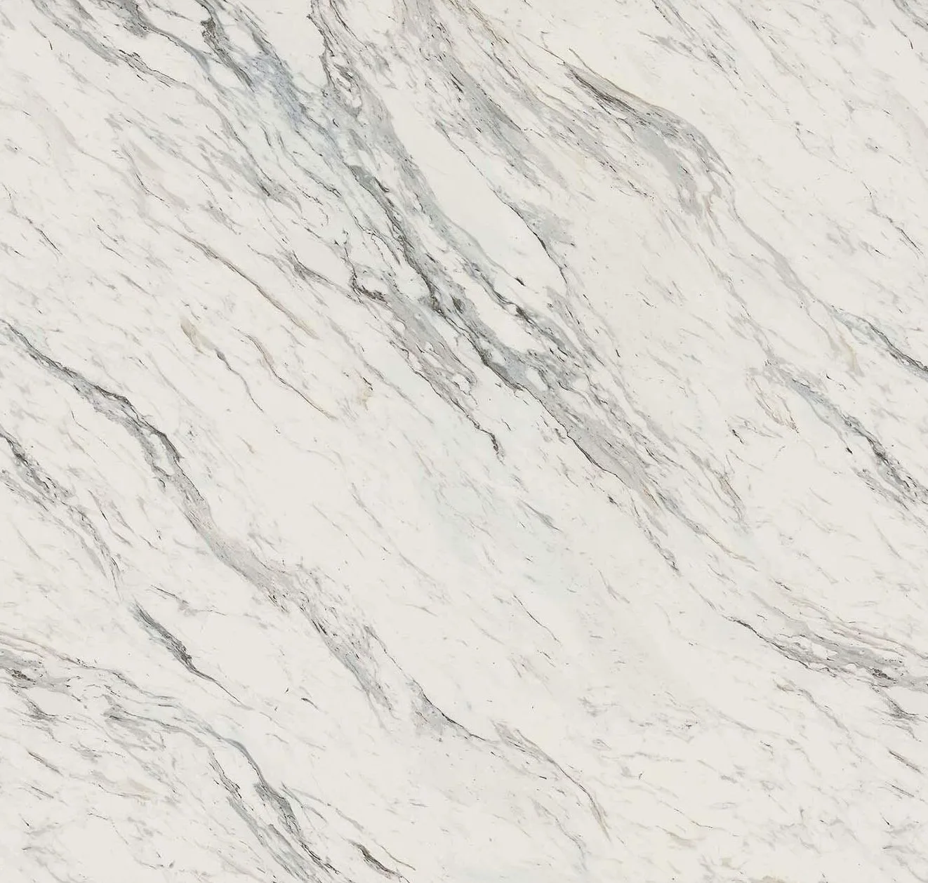 main sample image of White Calcutta Blanc