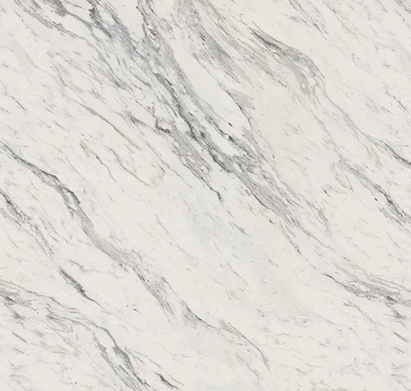 main sample image of White Calcutta Blanc