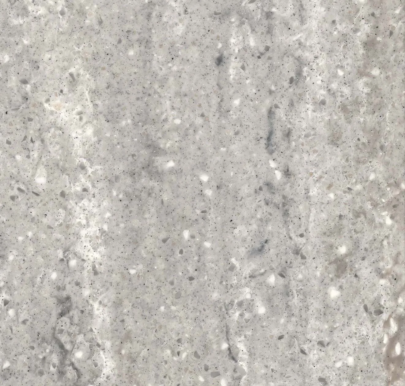 main sample image of Gray Grey Beola