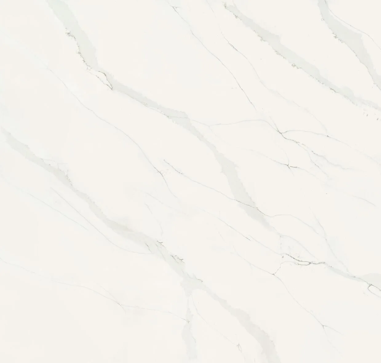 main sample image of White Calacatta Aquilea