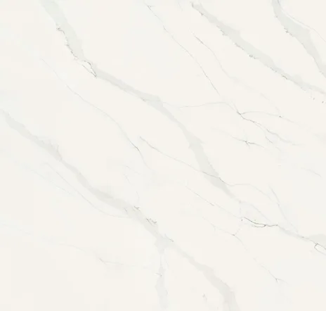 main sample image of White Calacatta Aquilea