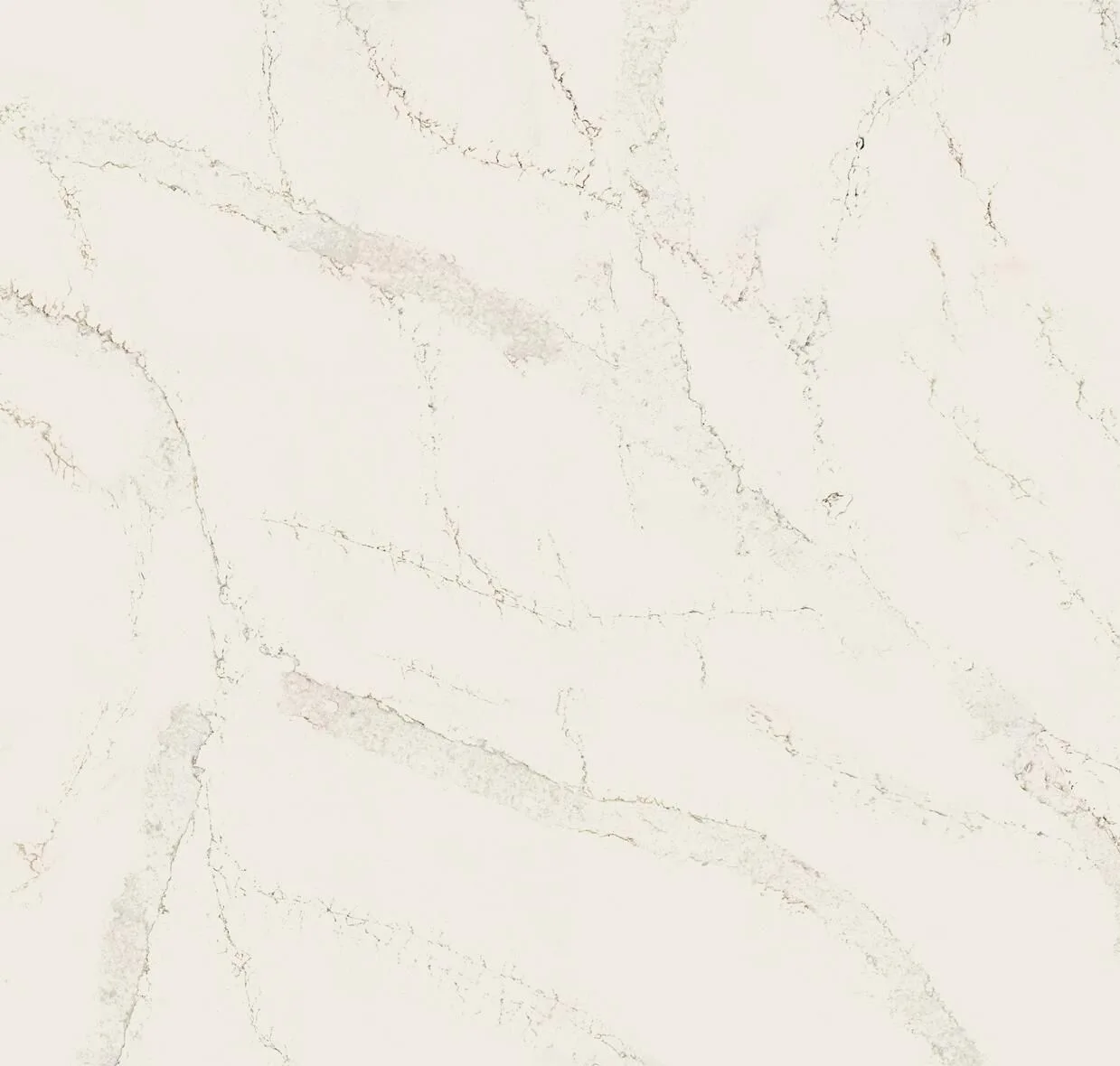 main sample image of White Calacatta Serchio