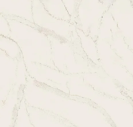 main sample image of White Calacatta Serchio