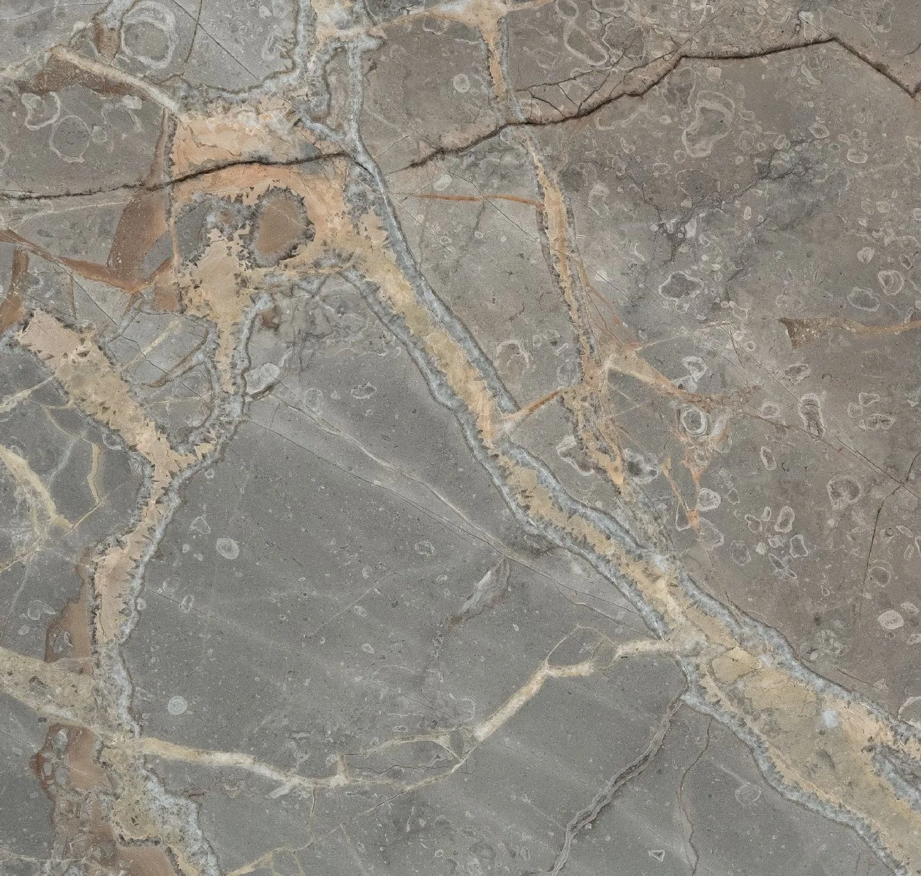 main sample image of Gray Fior Di Bosco