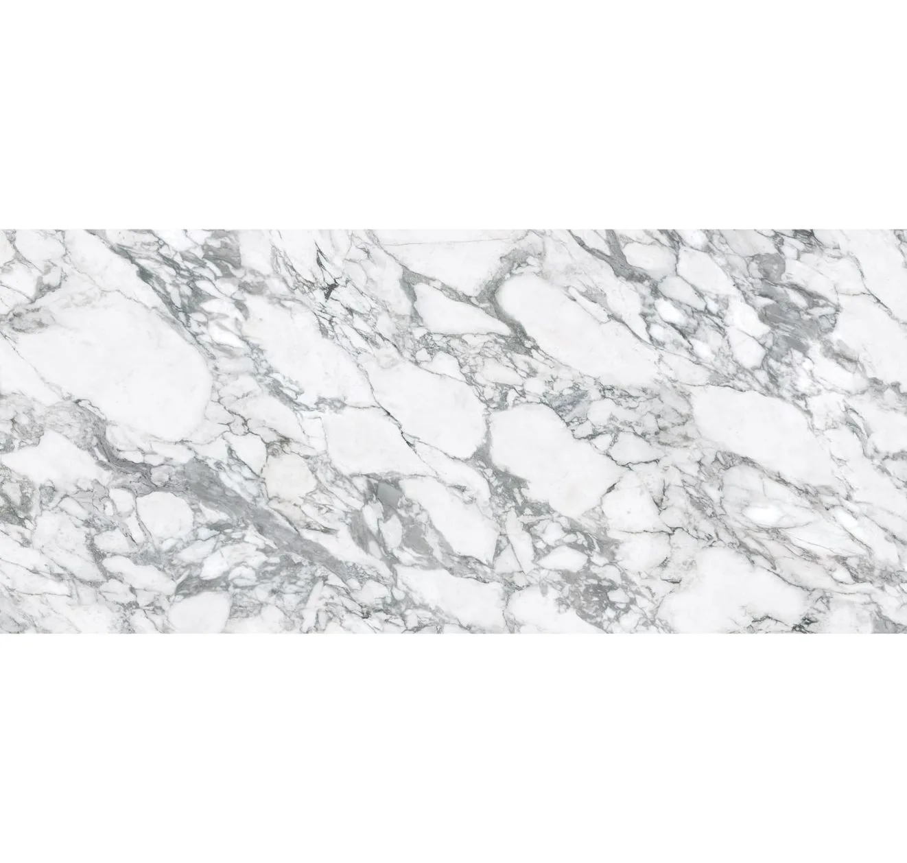 main sample image of Arabescato Grey Magnifica Encore