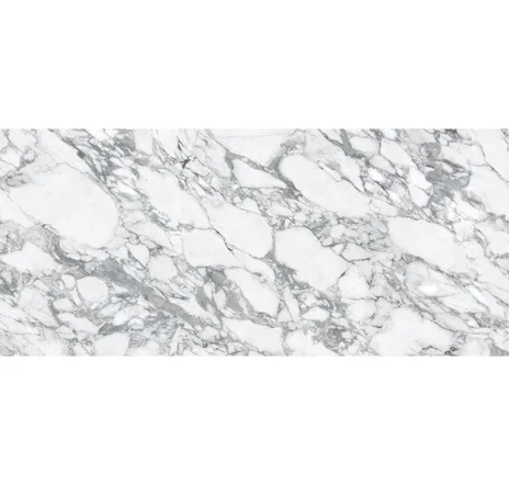 main sample image of Arabescato Grey Magnifica Encore